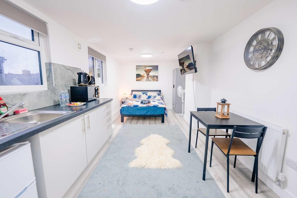 Bed, TV and multimedia, Kitchen or kitchenette, Living room, Photo of the whole room, Seating area, Dining area, Bedroom, minibar, oven, pet friendly, stove