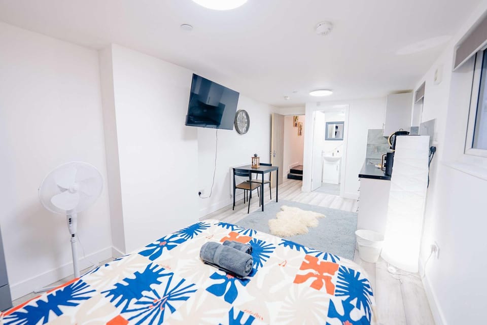 Bed, TV and multimedia, Kitchen or kitchenette, Photo of the whole room, Dining area, Bedroom, minibar, oven, pet friendly, stove