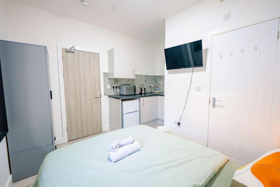 Bed, TV and multimedia, Kitchen or kitchenette, Photo of the whole room, Bedroom, minibar, oven, pet friendly, stove, towels, wardrobe
