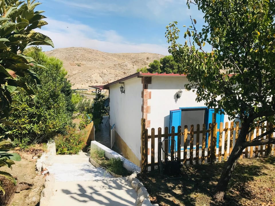 Property building, Natural landscape, Garden