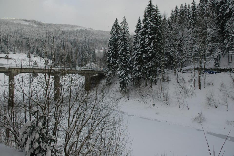 Winter, Lake view