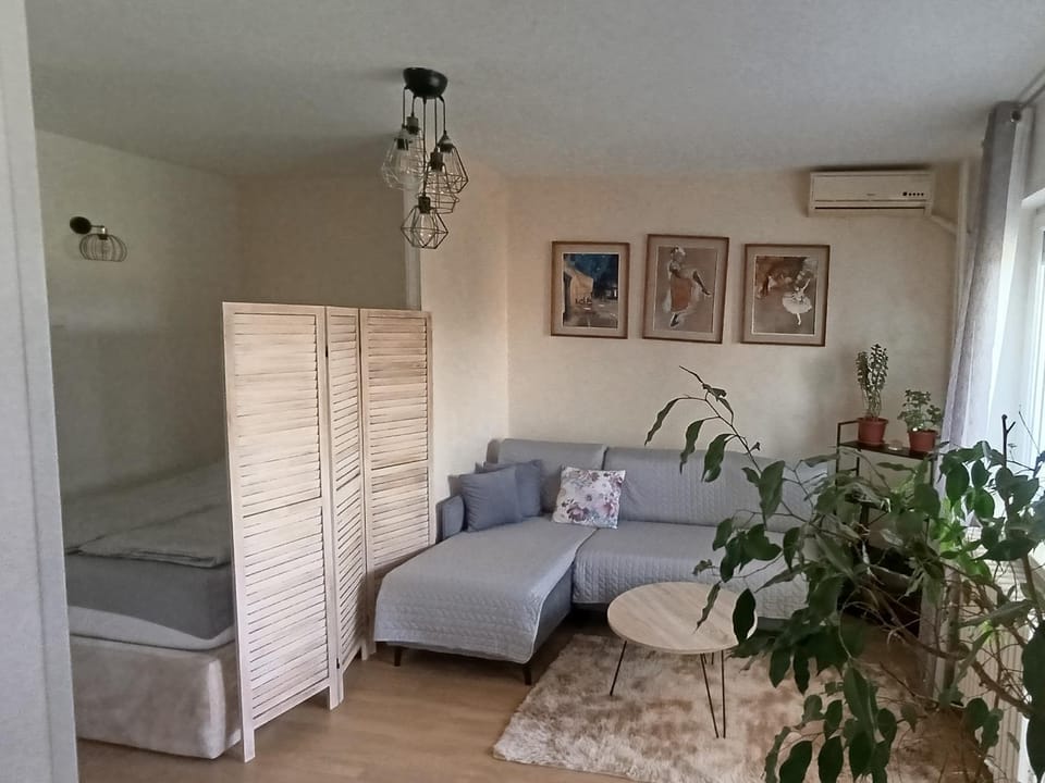 ViLu Apartment in Novi Sad