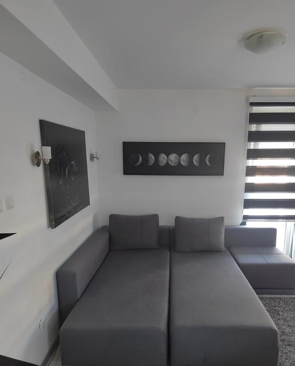 Apartment Triangle Apartment in Zlatibor District, Serbia