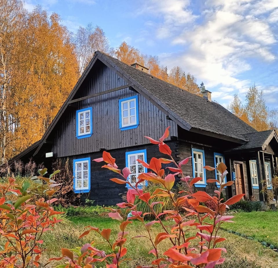 Property building, Day, Autumn, Garden view