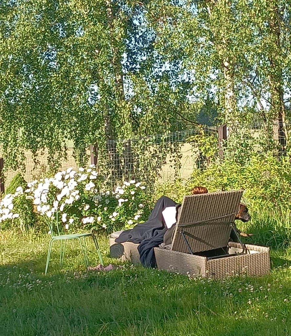 Day, Natural landscape, Seating area, Garden view