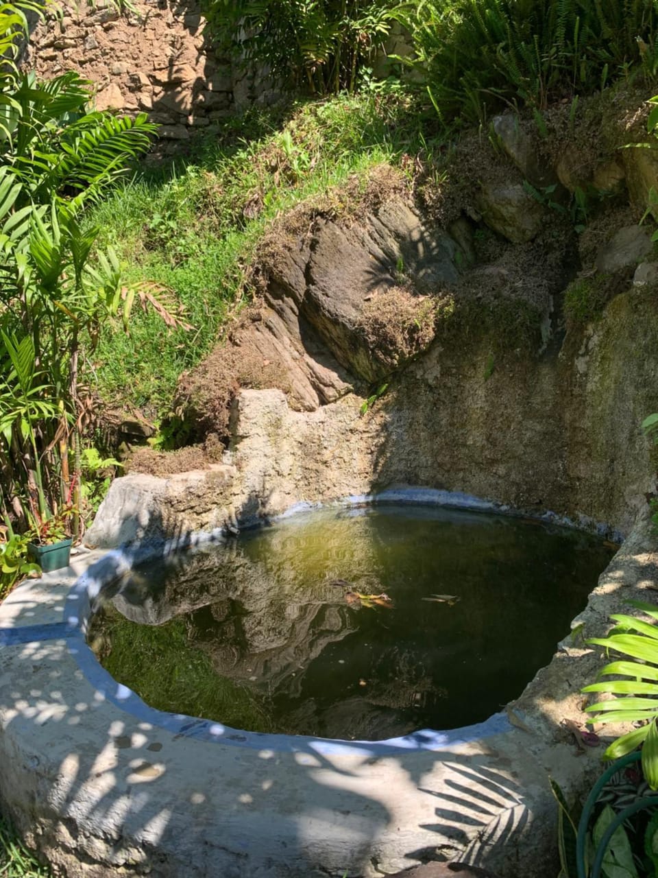 Natural landscape