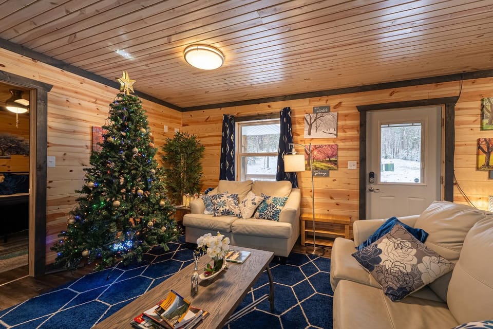 Winter, Living room, Decorative detail