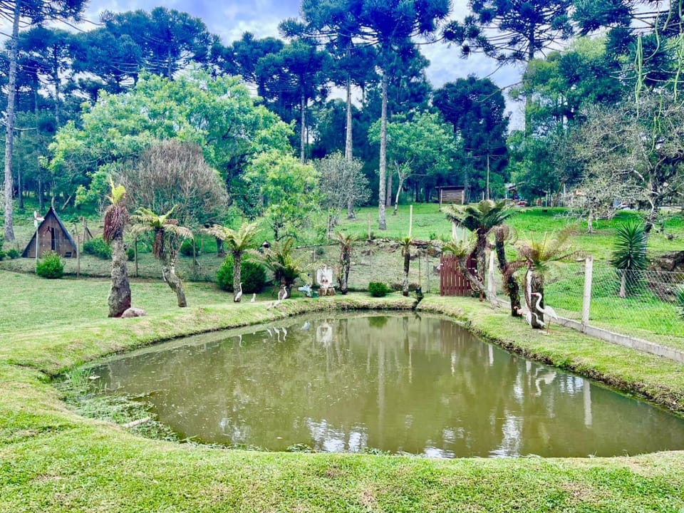 Garden, Lake view