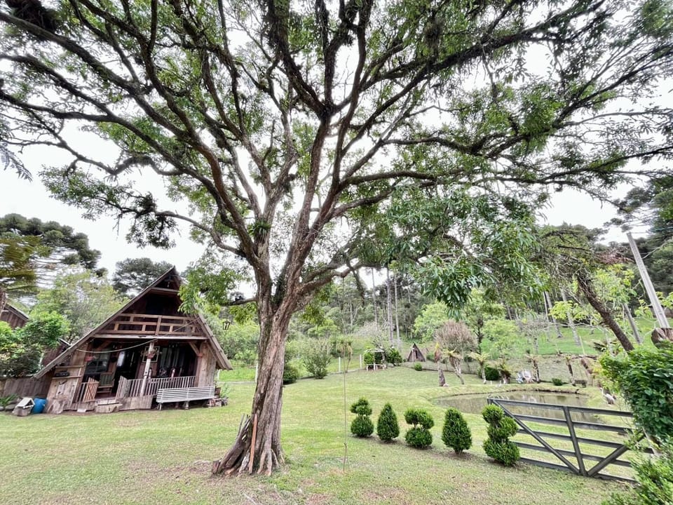 Garden, Garden view