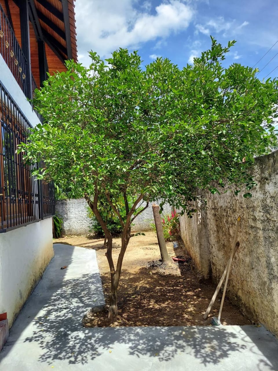 Patio, Garden, Balcony/Terrace