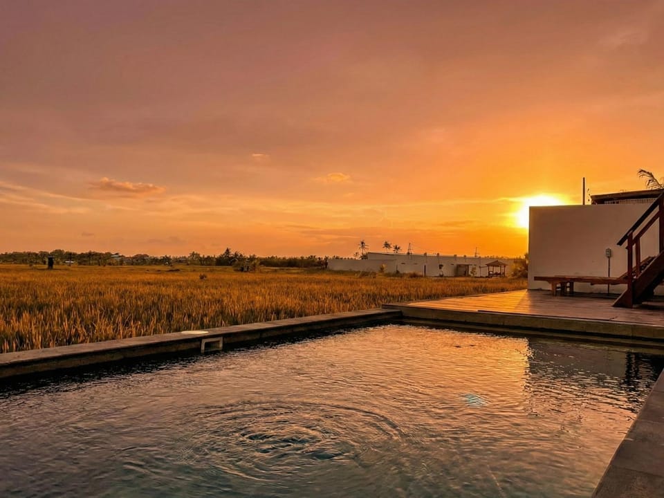 Day, Natural landscape, Pool view, Swimming pool, Sunset