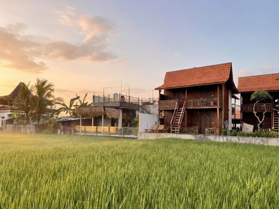 Property building, Natural landscape, Garden view