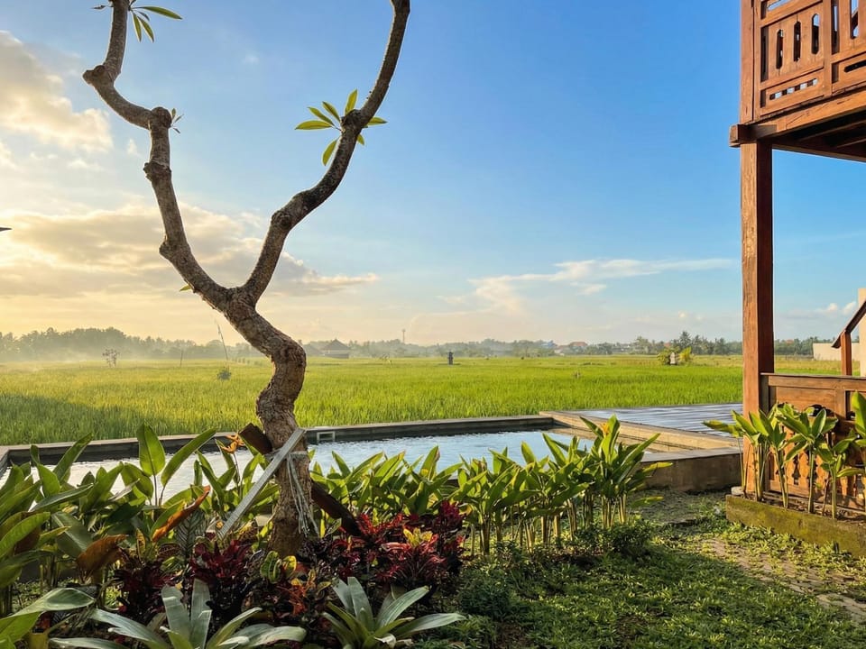 Natural landscape, Garden, View (from property/room), Garden view, Swimming pool