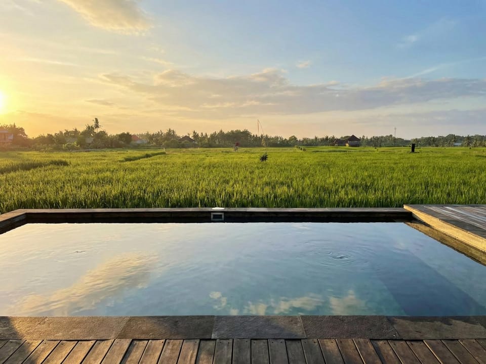 Pool view, Swimming pool