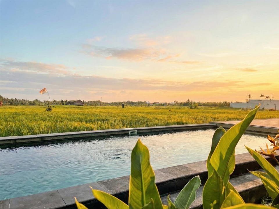 Day, Garden, Garden view, Pool view, Swimming pool