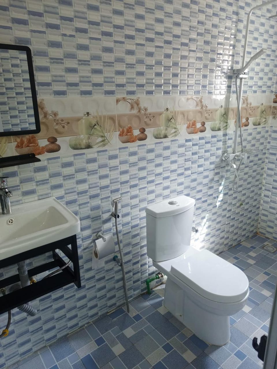 Shower, Toilet
