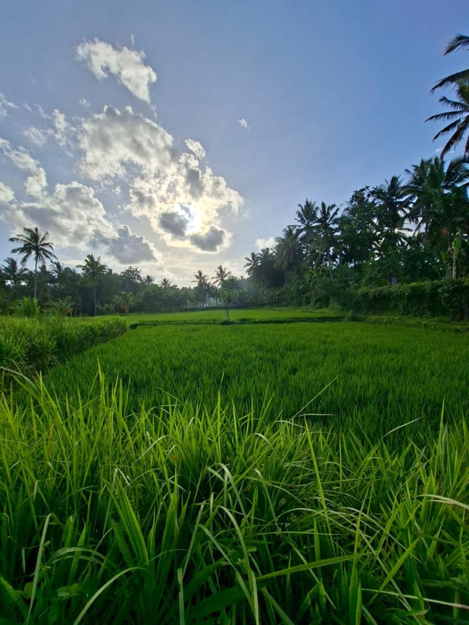 Penempuran cottage Vacation rental in West Nusa Tenggara, Indonesia