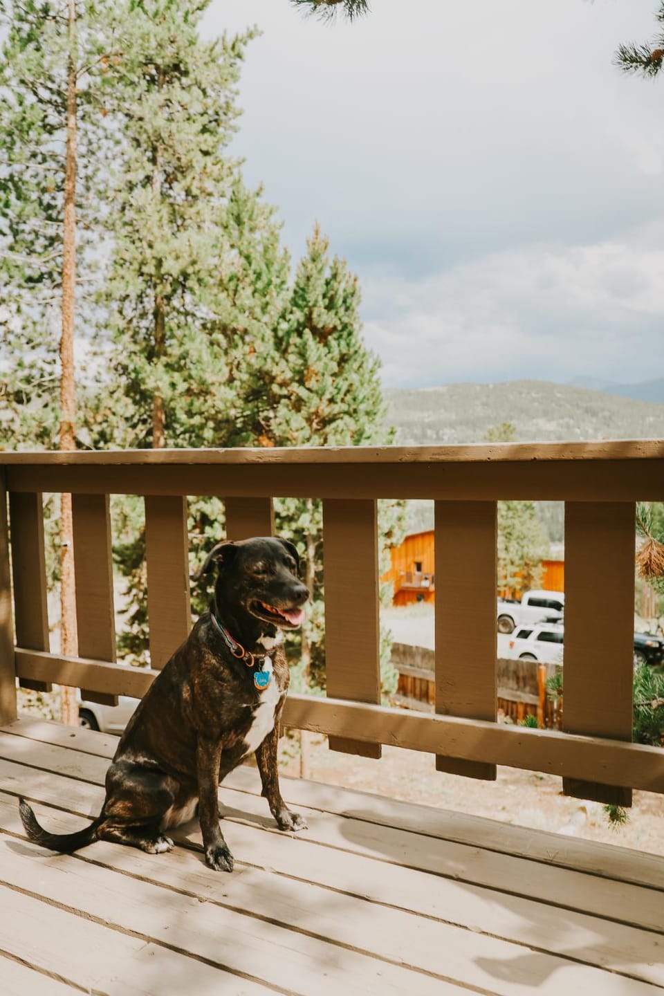 Patio, Balcony/Terrace, Pets, pet friendly