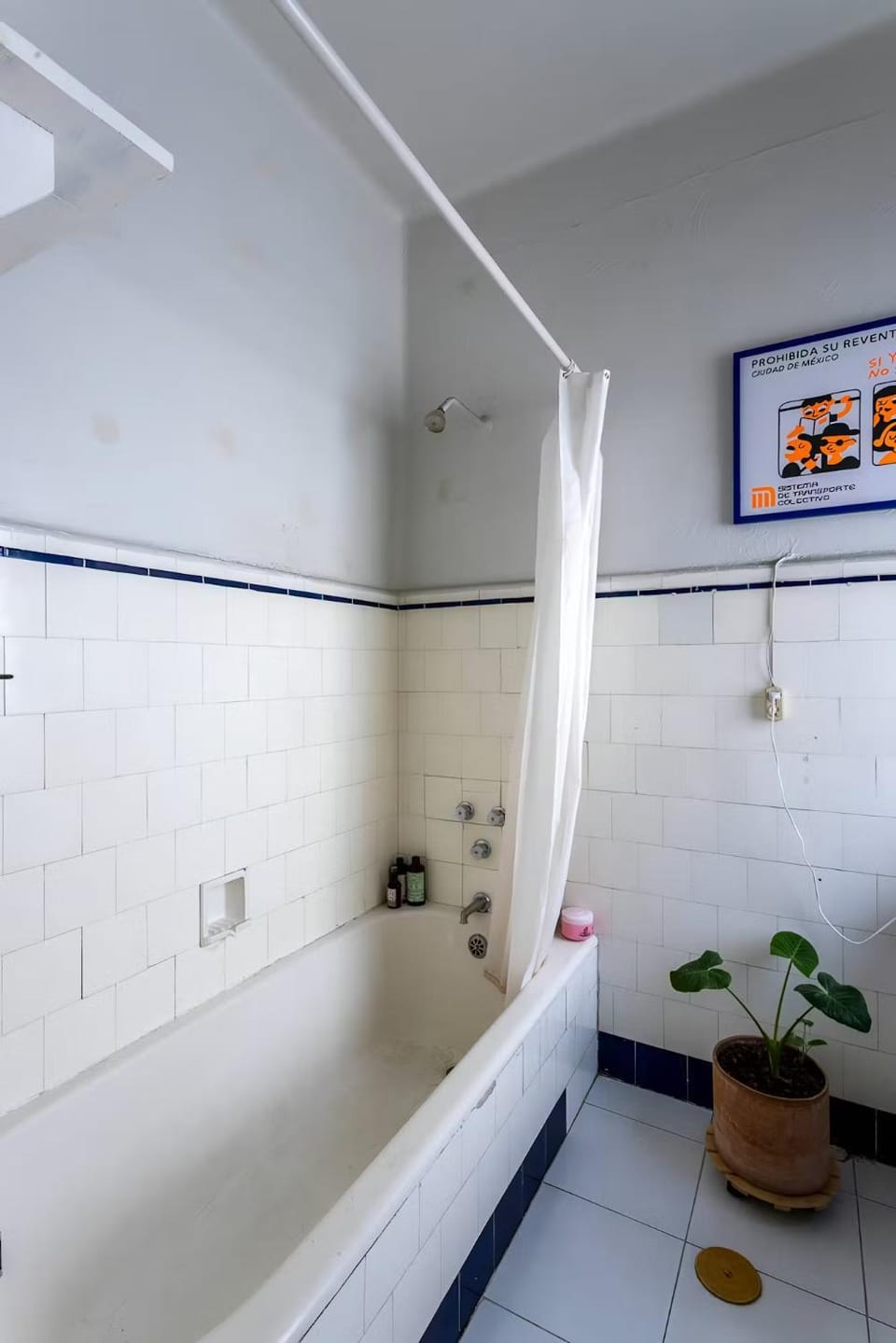 Beautiful, bright room, right on the park Vacation rental in Mexico City