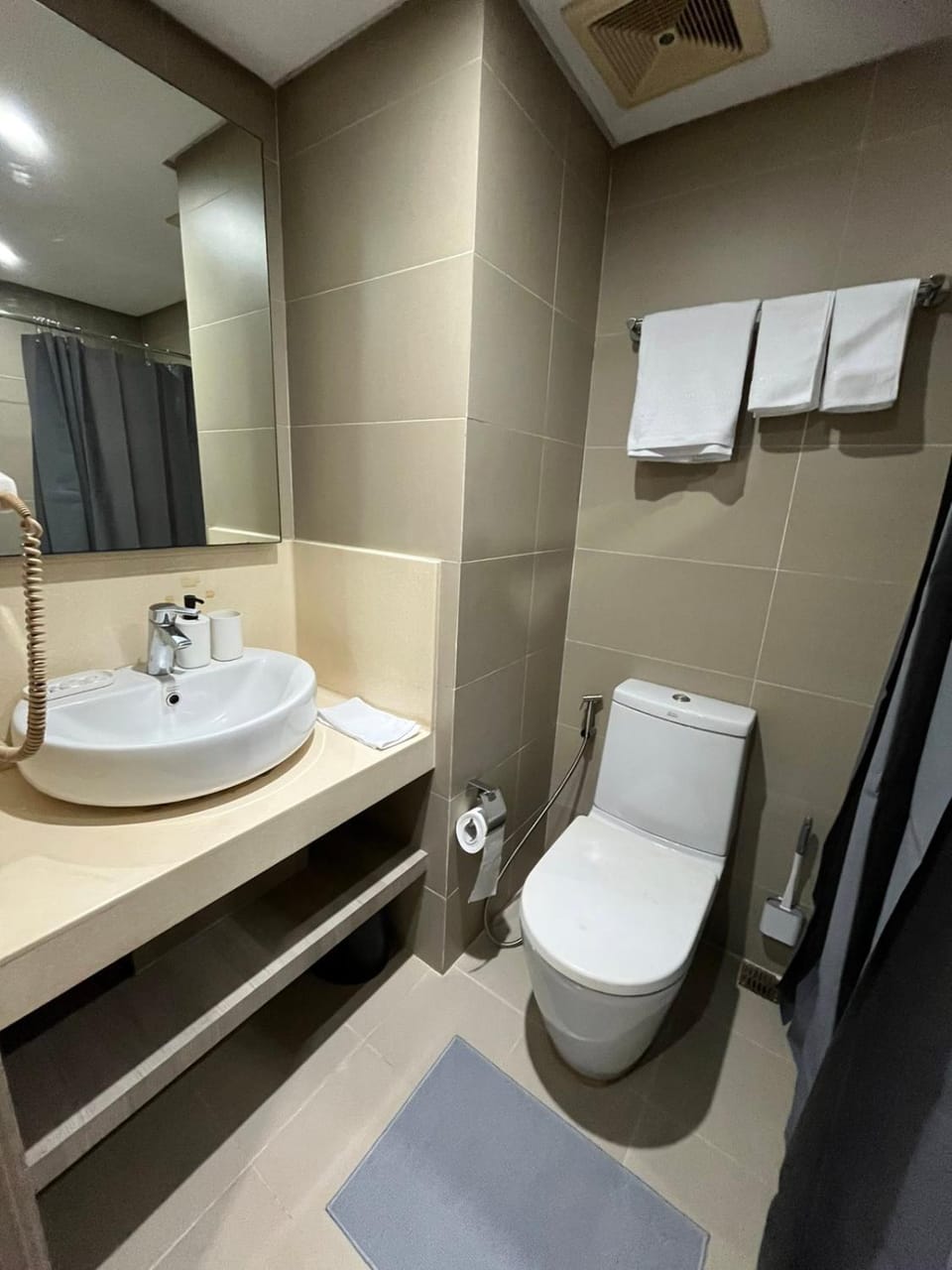 Shower, Toilet, Bathroom, towels