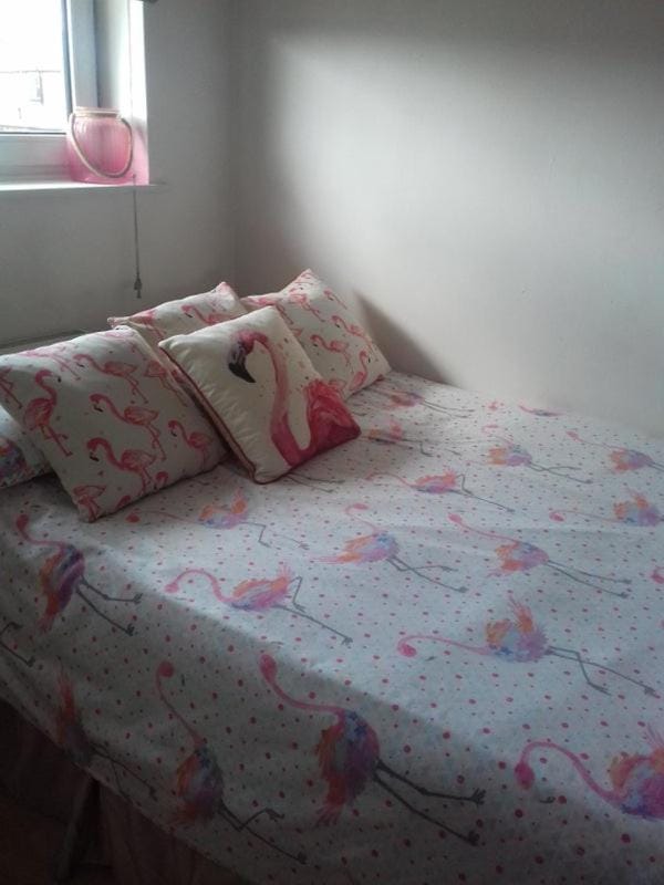 Comfortable flat Apartment in Lucknow