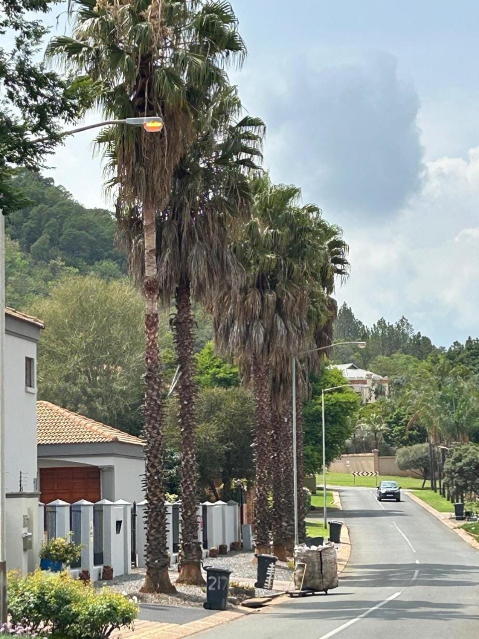 Quiet street view