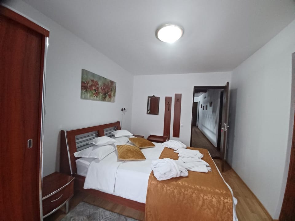 Pensiune AVA Sinaia Apartment in Sinaia