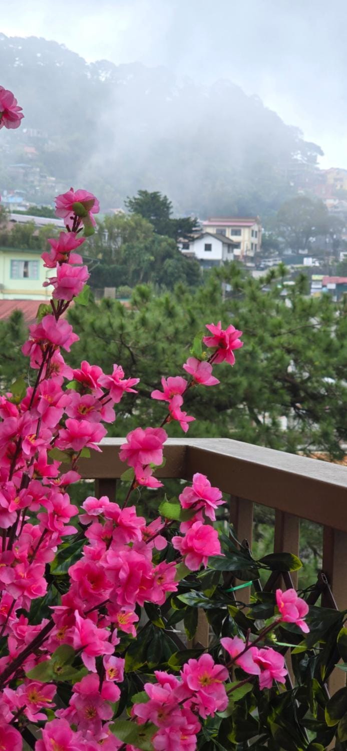 Natural landscape, Balcony/Terrace, Mountain view