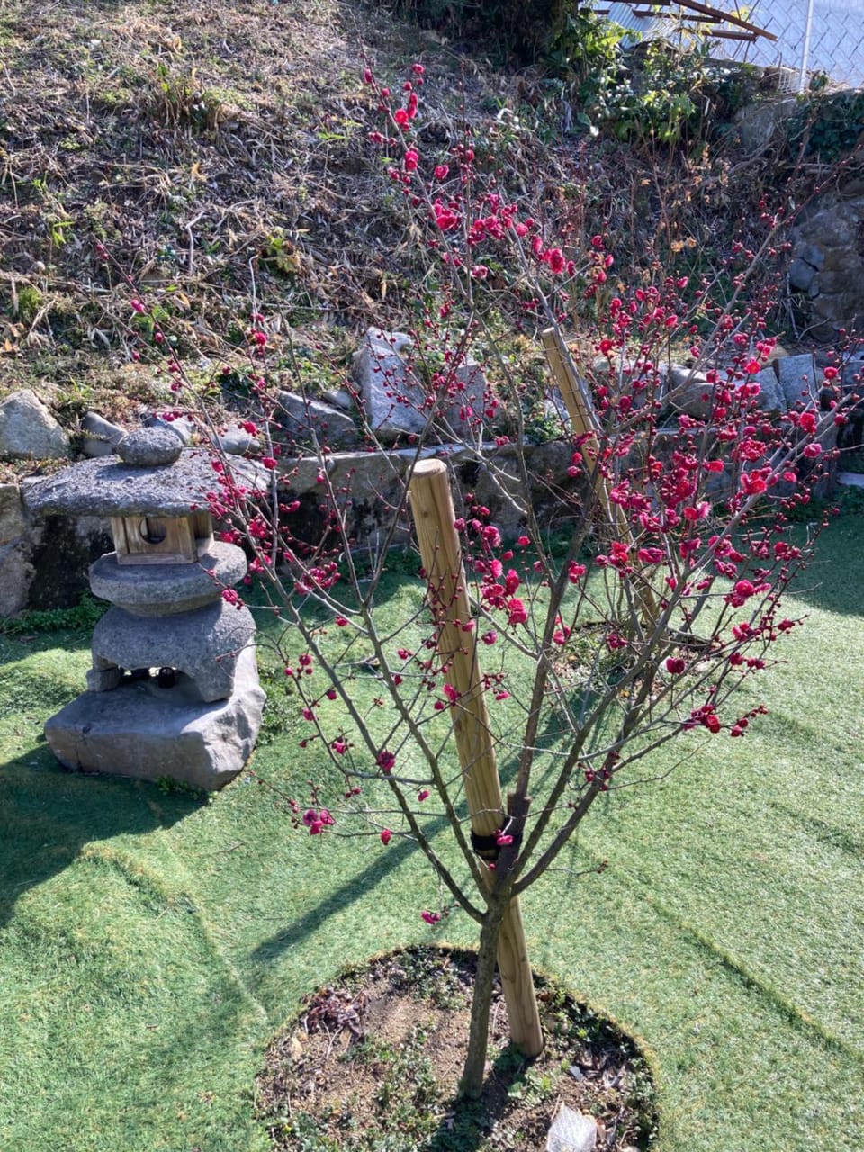 ヴィラこんぴら Villa Konpira Hotel in Japan