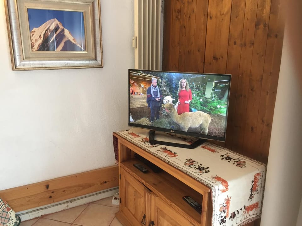 TV and multimedia