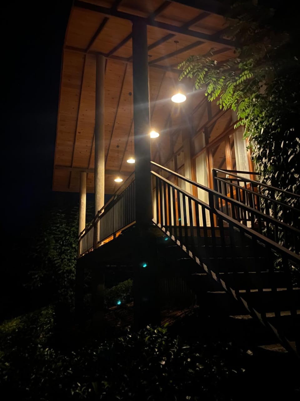 Property building, Night, View (from property/room), Garden view