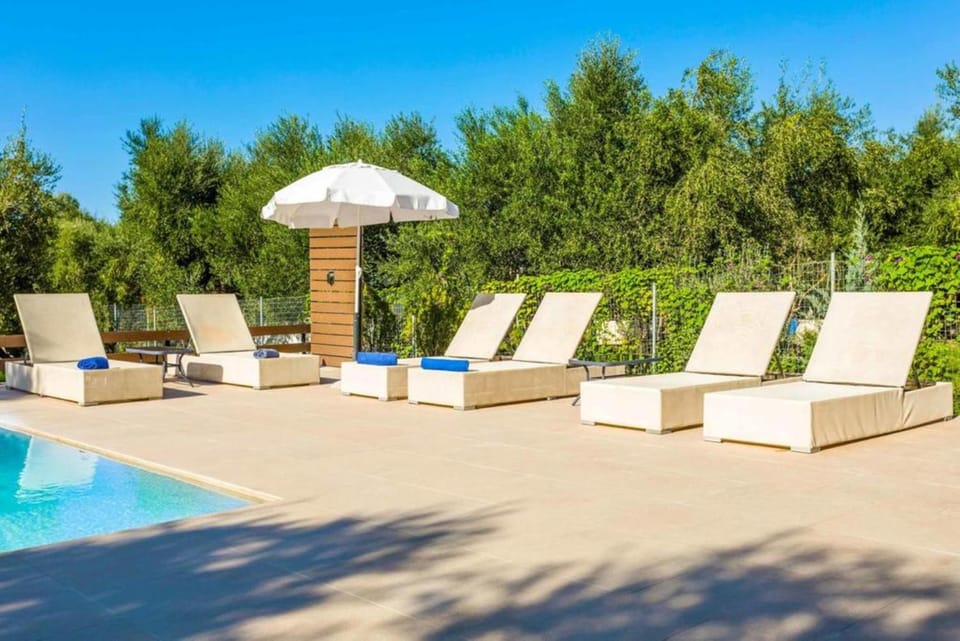 Garden, Garden, Swimming pool, Swimming pool