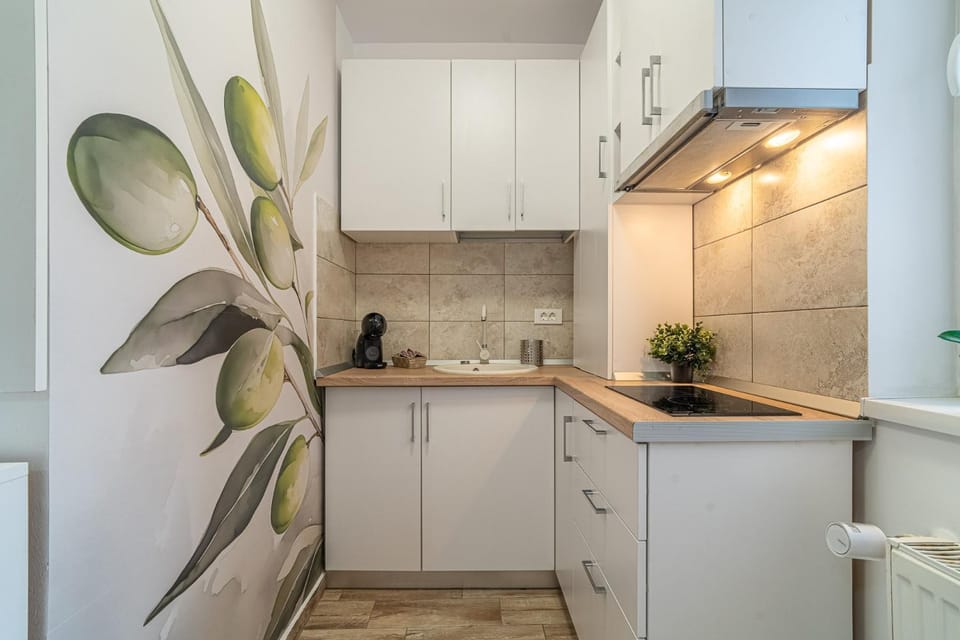 Coffee/tea facilities, Kitchen or kitchenette, stove