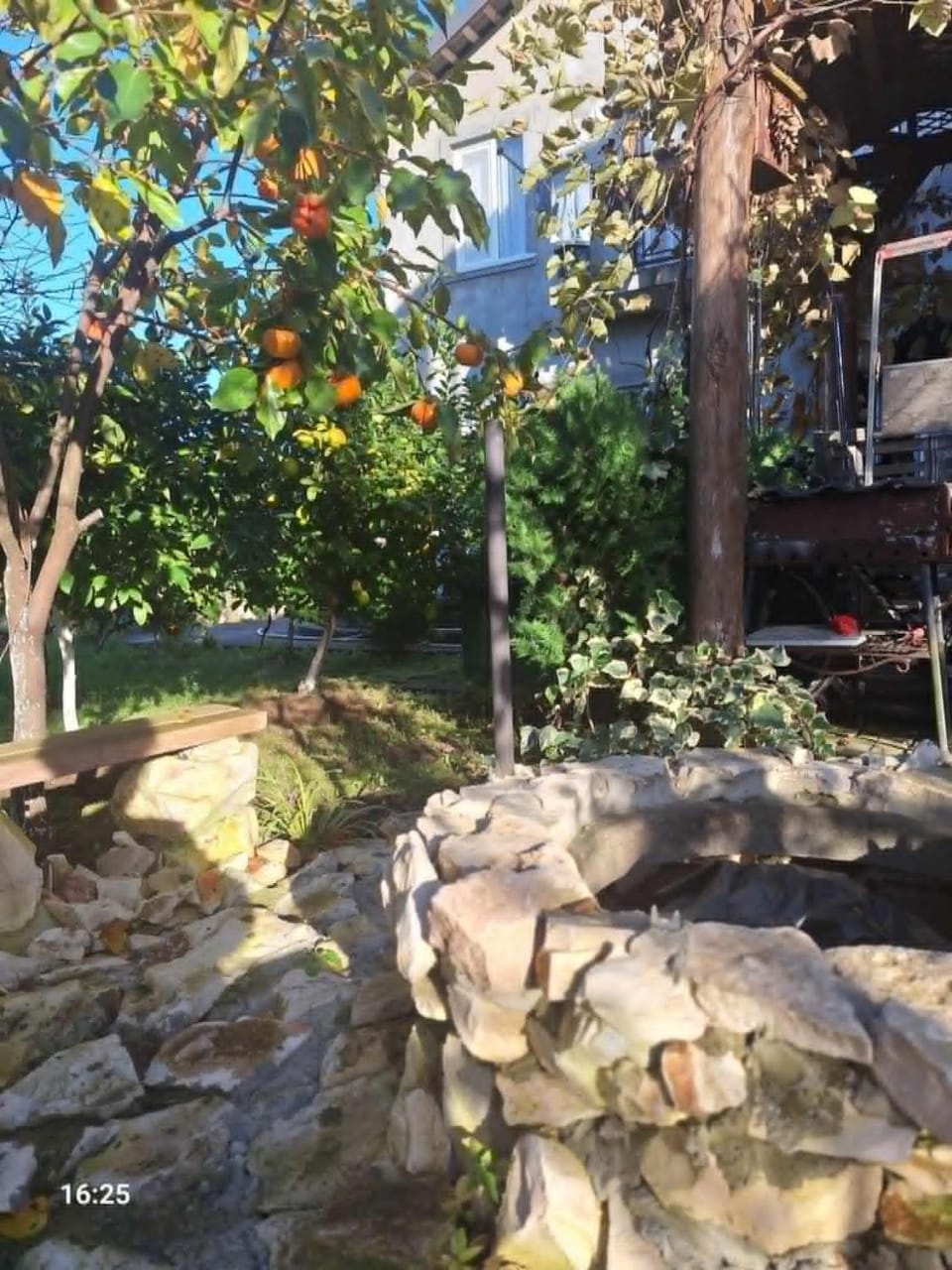 Spring, Day, Garden view