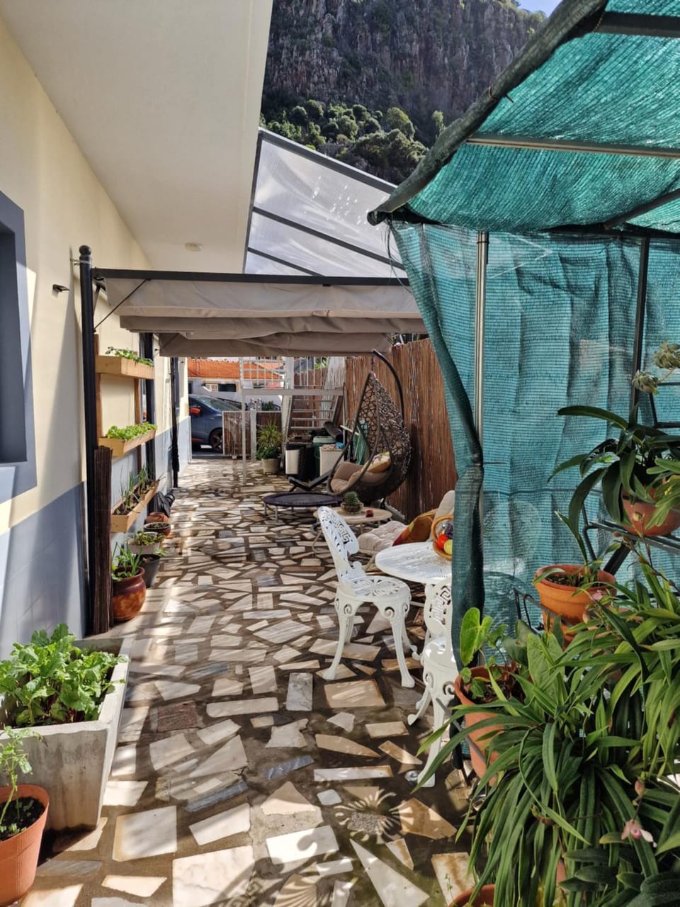 Garden view