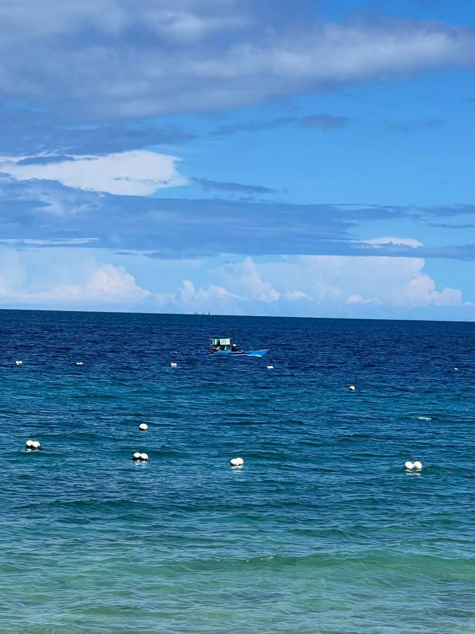 Casa Vivienne Exclusive Beach House Villa in Oslob