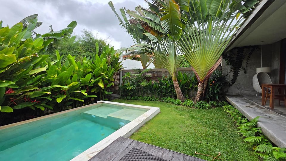 Spring, Day, Garden, Garden view, Pool view, Swimming pool