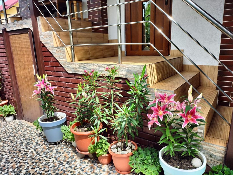 Pensiunea Eden Bed and Breakfast in Romania