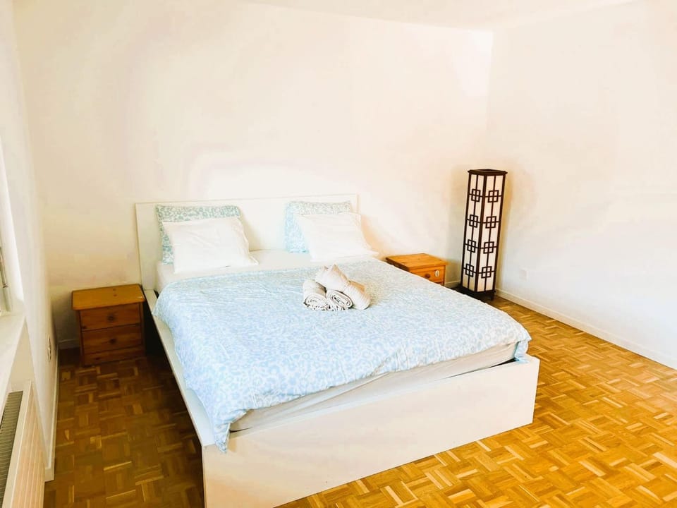 Large Flat with Balcony in Zurich, Kars Inn in Zurich City
