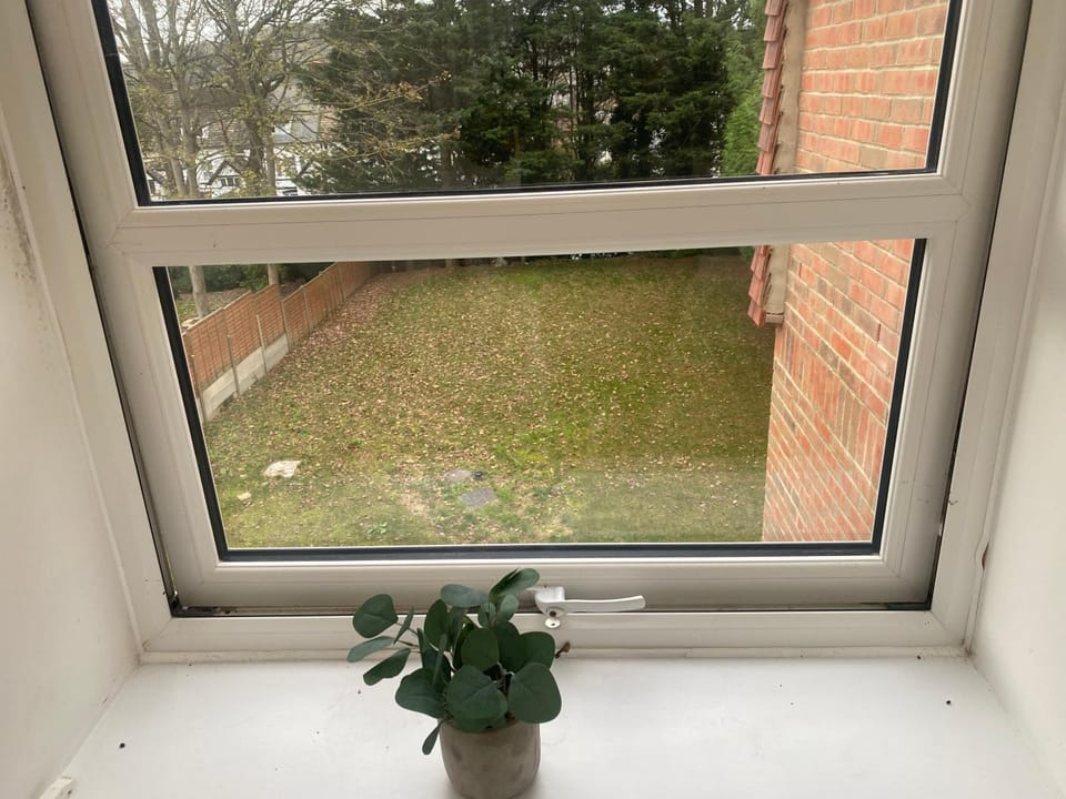 View (from property/room)