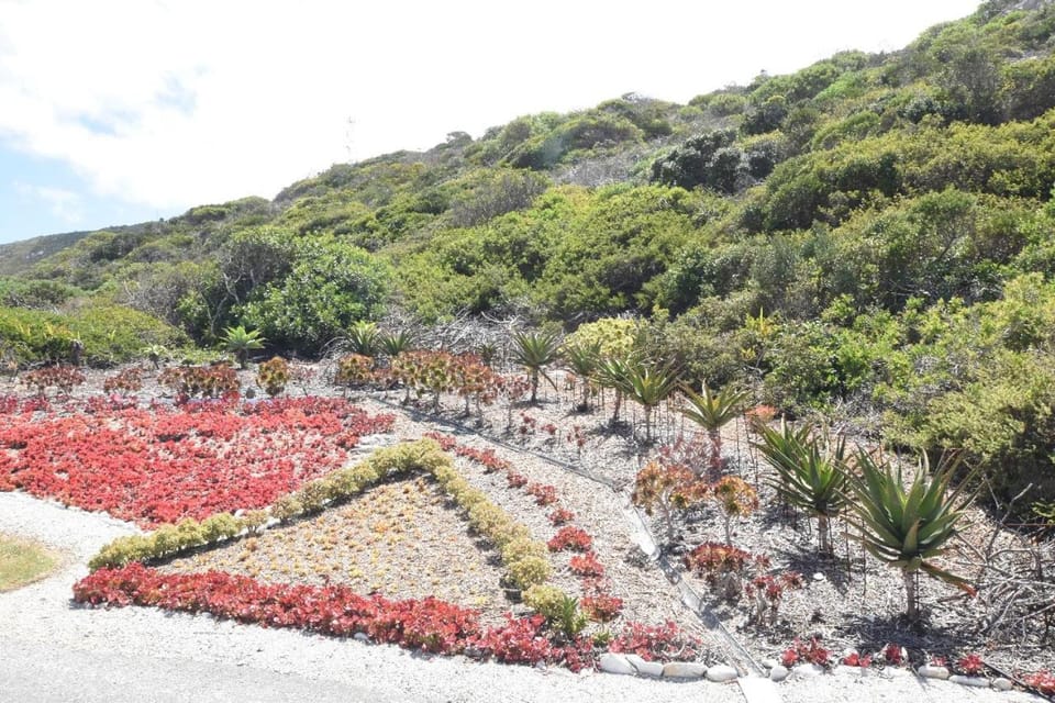 5 Cliff Street Apartment in Western Cape