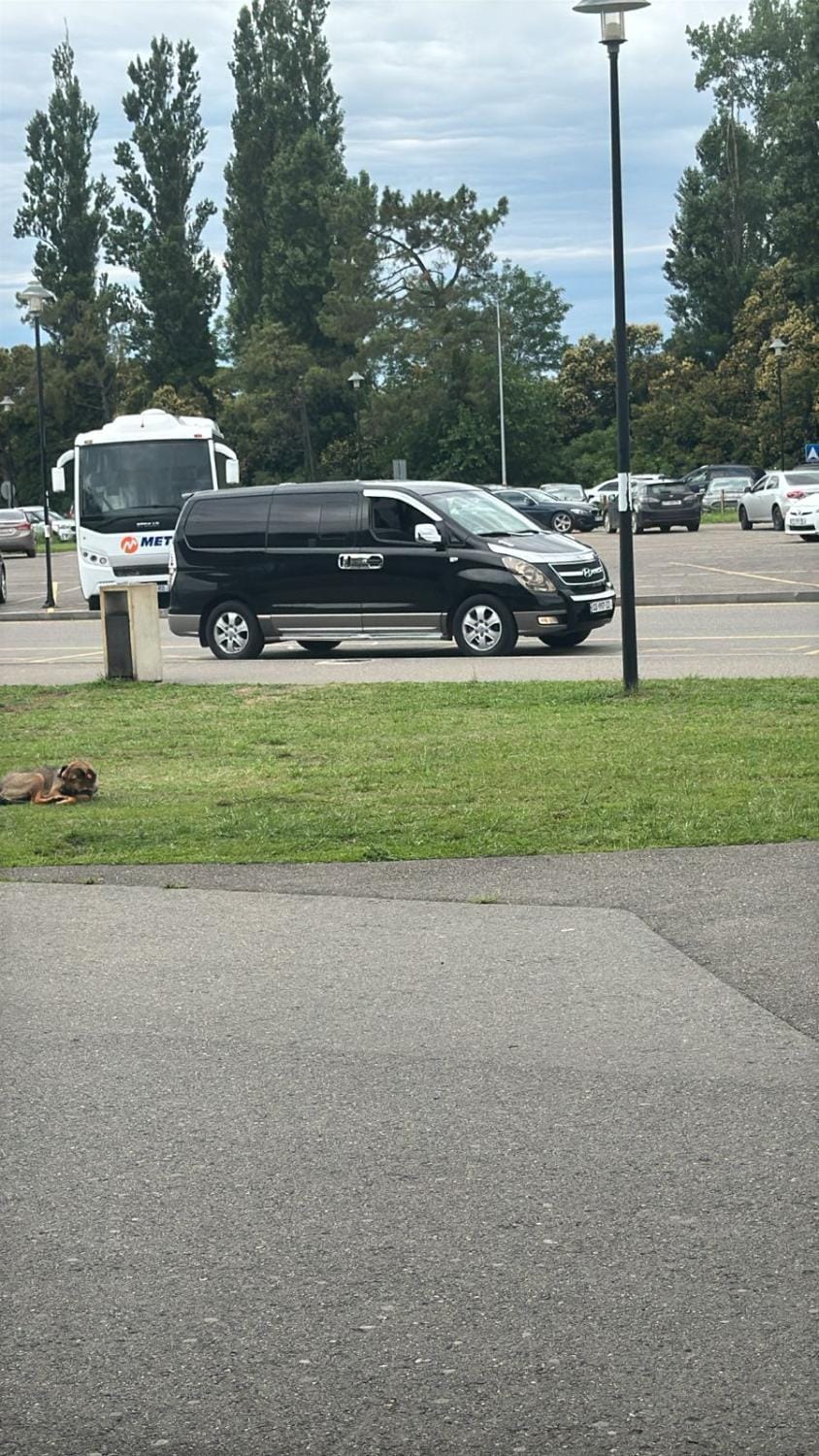 Day, People, Natural landscape, Parking