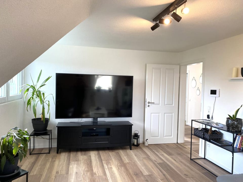 TV and multimedia, Living room