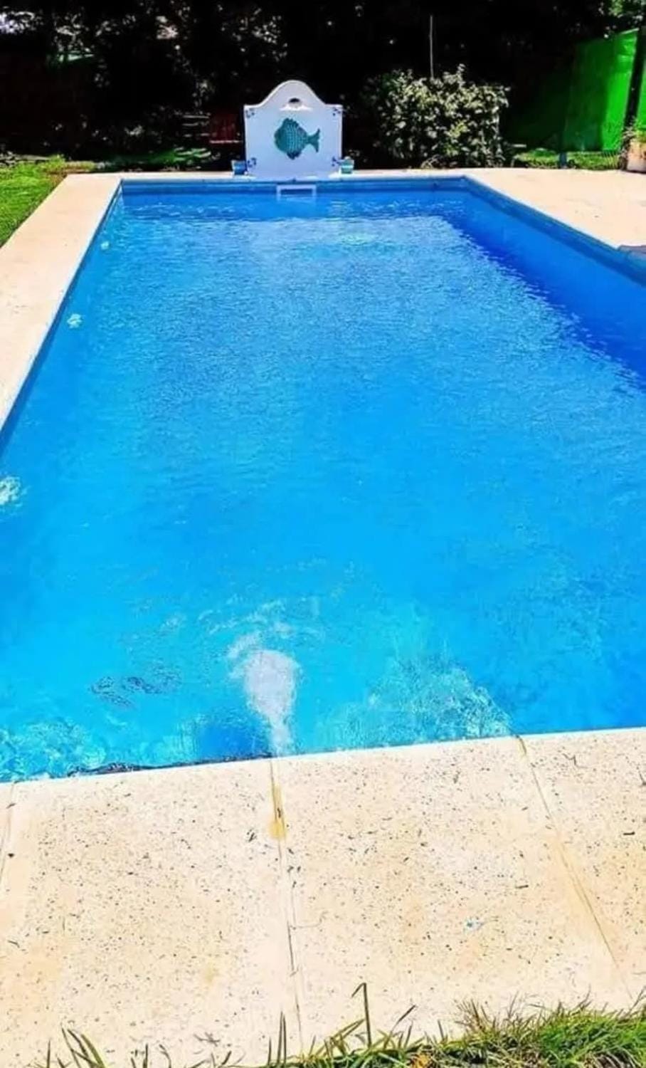 Day, Pool view, Swimming pool