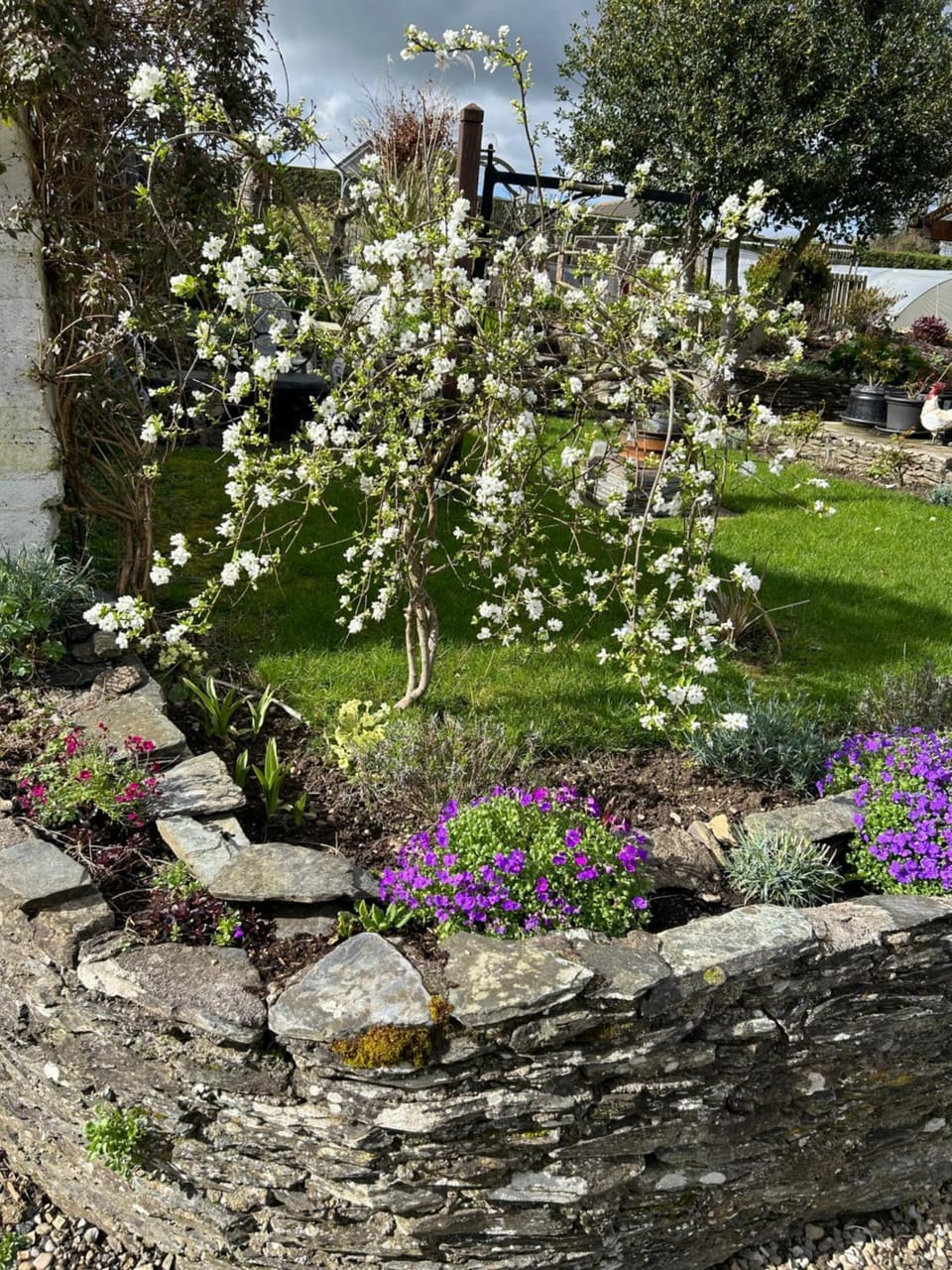 Garden, Garden view