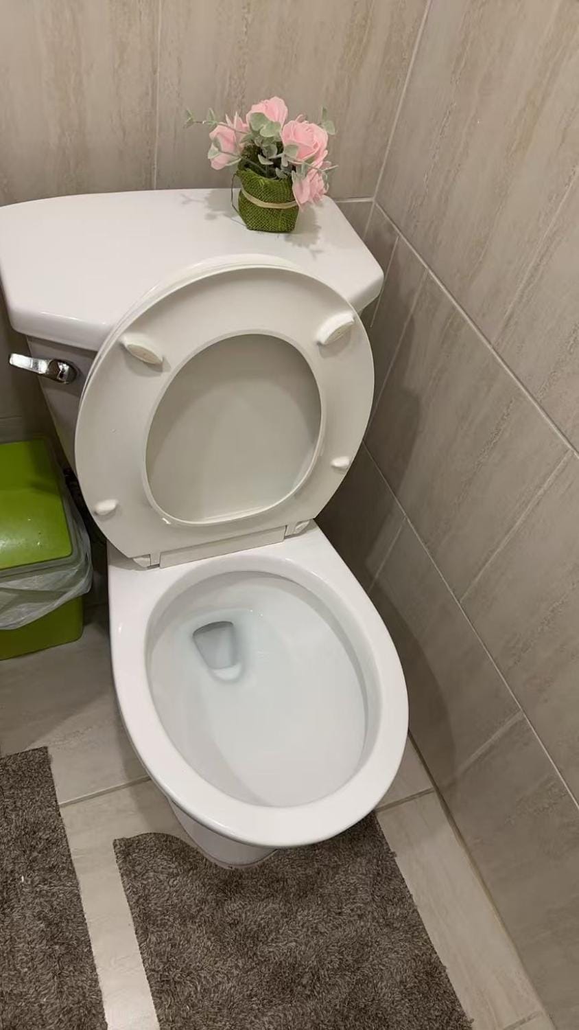 Cozy Private Basement Suite Beside Plaza Free Parking Walk to Groceries & Dining Bed and Breakfast in Richmond Hill