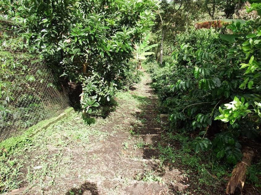 Hiking