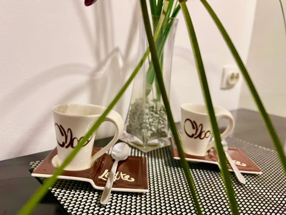 Skadarlija Nest Apartment in Belgrade