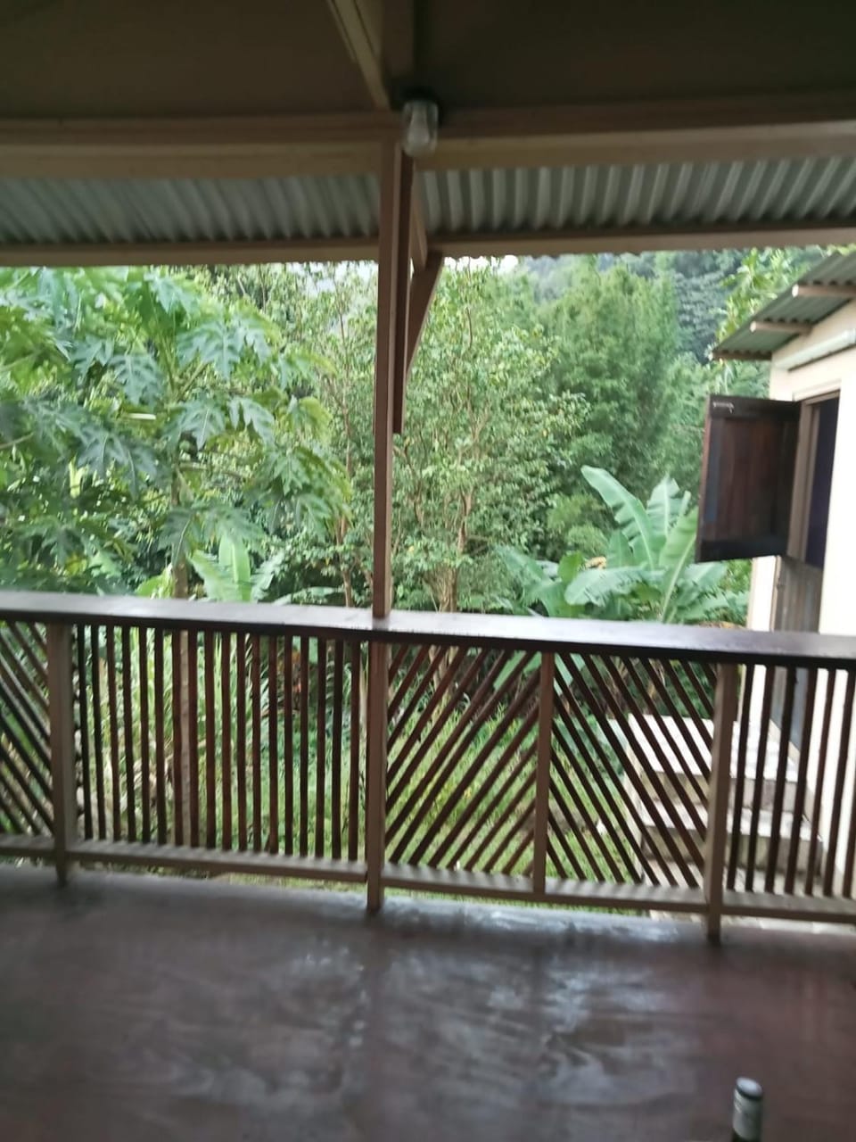 anthurium cabin Cabin in Dominica