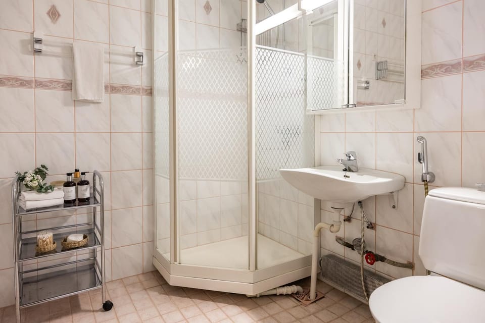 Shower, Toilet, Bathroom, bidet, towels